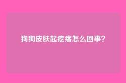 狗狗皮肤起疙瘩怎么回事？