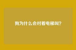 狗为什么会对着电梯叫？