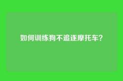 如何训练狗不追逐摩托车？