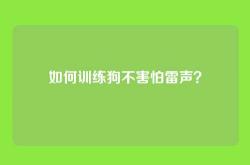如何训练狗不害怕雷声？