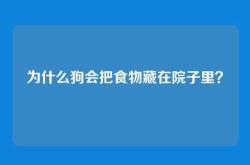 为什么狗会把食物藏在院子里？