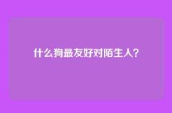 什么狗最友好对陌生人？