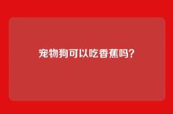 宠物狗可以吃香蕉吗？