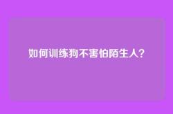 如何训练狗不害怕陌生人？