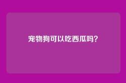宠物狗可以吃西瓜吗？