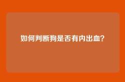 如何判断狗是否有内出血？