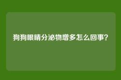 狗狗眼睛分泌物增多怎么回事？