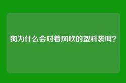 狗为什么会对着风吹的塑料袋叫？
