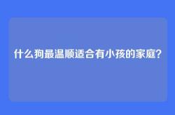 什么狗最温顺适合有小孩的家庭？