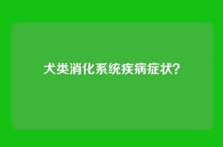 犬类消化系统疾病症状？