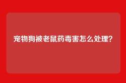 宠物狗被老鼠药毒害怎么处理？