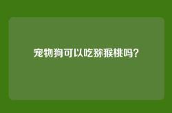 宠物狗可以吃猕猴桃吗？
