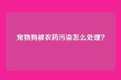 宠物狗被农药污染怎么处理？