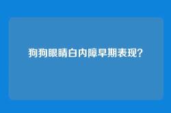狗狗眼睛白内障早期表现？
