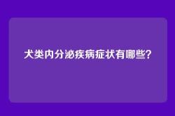 犬类内分泌疾病症状有哪些？