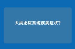犬类泌尿系统疾病症状？