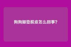 狗狗脚垫脱皮怎么回事？