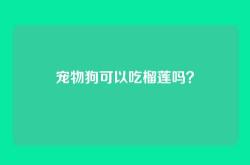 宠物狗可以吃榴莲吗？