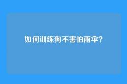 如何训练狗不害怕雨伞？