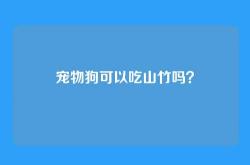 宠物狗可以吃山竹吗？