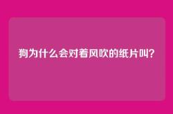狗为什么会对着风吹的纸片叫？