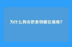 为什么狗会把食物藏在墙角？