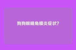狗狗眼睛角膜炎症状？