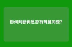 如何判断狗是否有肾脏问题？