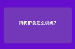 狗狗护食怎么训练？