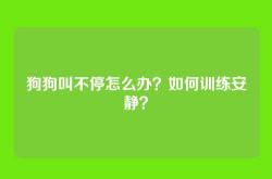 狗狗叫不停怎么办？如何训练安静？