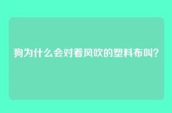 狗为什么会对着风吹的塑料布叫？