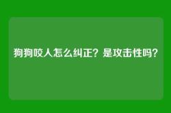 狗狗咬人怎么纠正？是攻击性吗？
