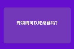 宠物狗可以吃桑葚吗？
