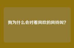 狗为什么会对着风吹的风铃叫？