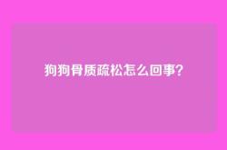 狗狗骨质疏松怎么回事？