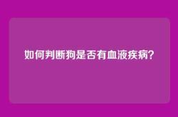 如何判断狗是否有血液疾病？