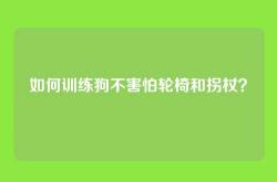 如何训练狗不害怕轮椅和拐杖？