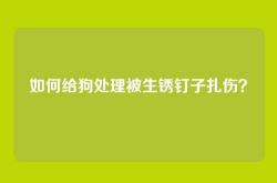 如何给狗处理被生锈钉子扎伤？