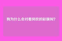 狗为什么会对着风吹的彩旗叫？