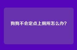 狗狗不会定点上厕所怎么办？