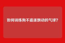 如何训练狗不追逐飘动的气球？