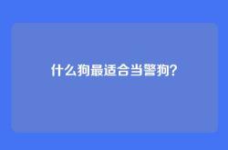 什么狗最适合当警狗？