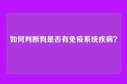 如何判断狗是否有免疫系统疾病？