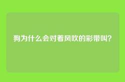 狗为什么会对着风吹的彩带叫？