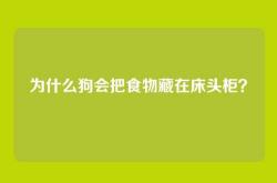 为什么狗会把食物藏在床头柜？
