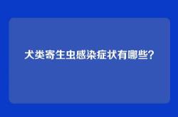 犬类寄生虫感染症状有哪些？
