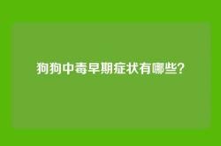 狗狗中毒早期症状有哪些？
