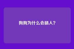 狗狗为什么会舔人？