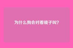 为什么狗会对着镜子叫？