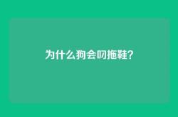 为什么狗会叼拖鞋？